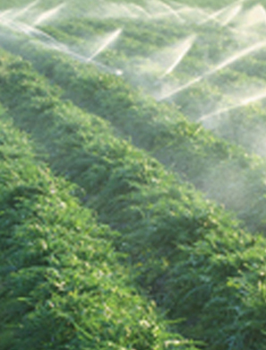 Agriculture